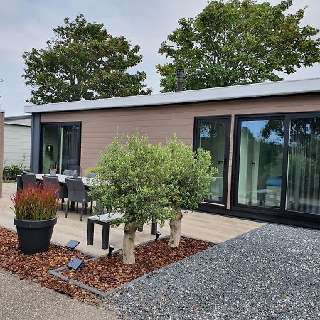 Beachhouse Renesse 2645 المظهر الخارجي الصورة