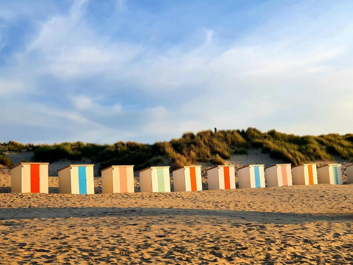 Beachhouse Renesse 2645 المظهر الخارجي الصورة