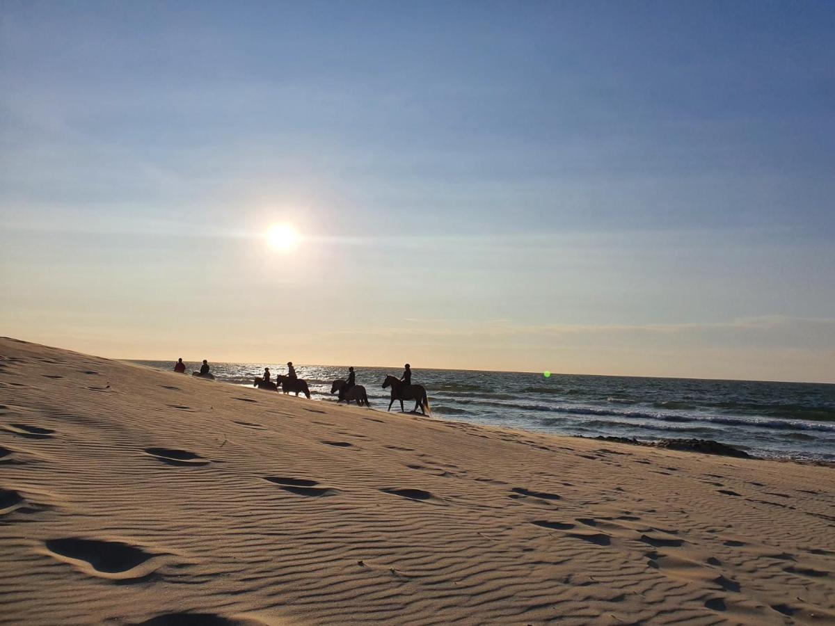 Beachhouse Renesse 2645 المظهر الخارجي الصورة